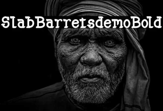 SlabBarretsdemoBold Font examples