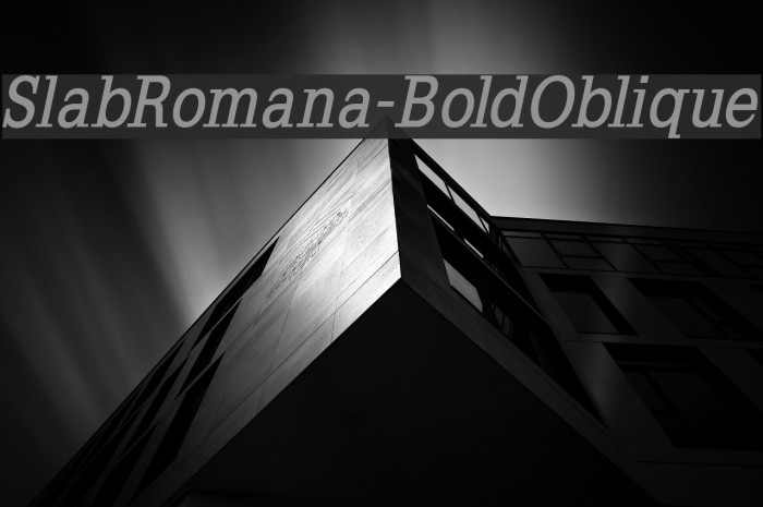 SlabRomana-BoldOblique Font examples