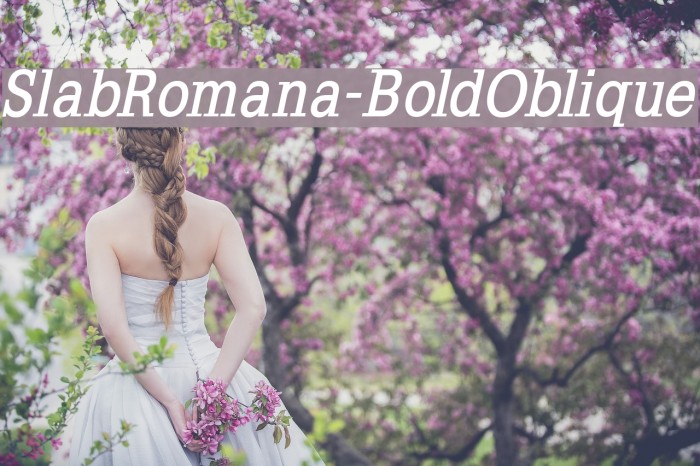 SlabRomana-BoldOblique Font examples