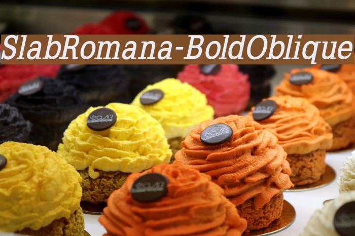 SlabRomana-BoldOblique Font examples