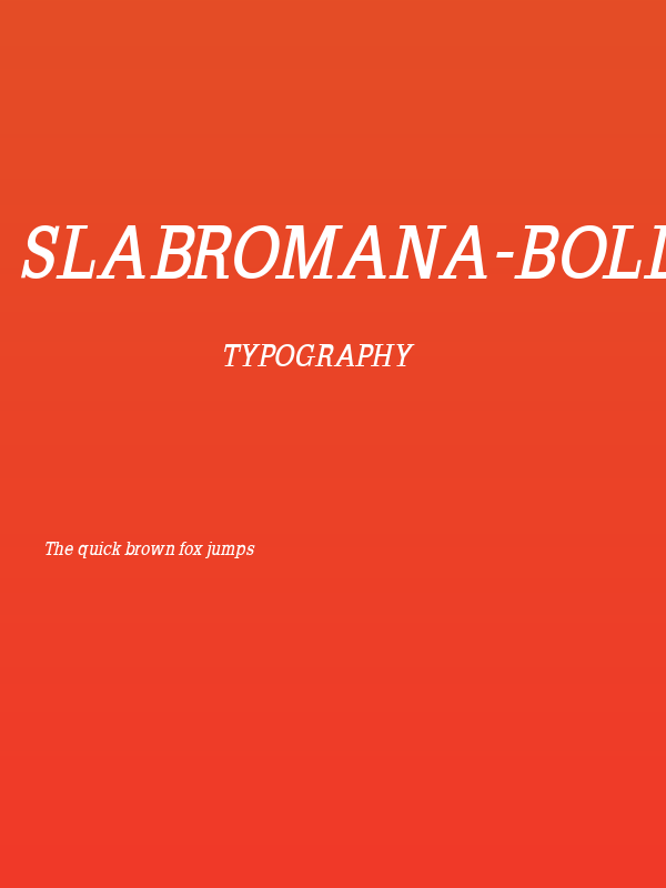 SlabRomana-BoldOblique Poster
