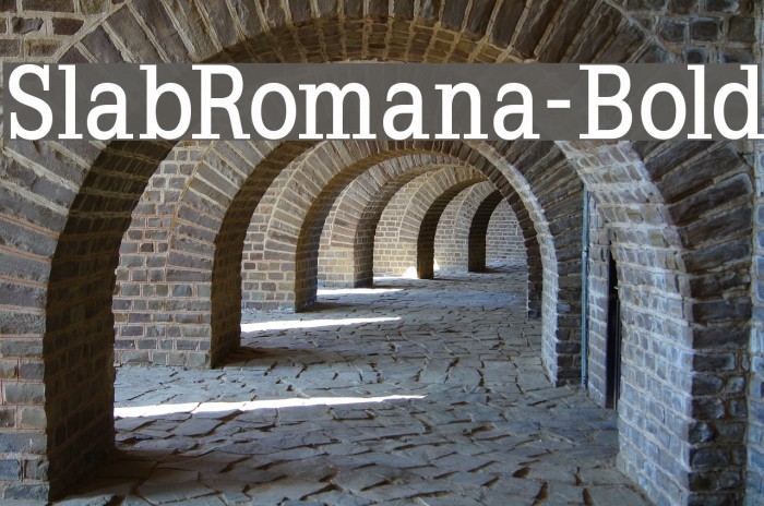 SlabRomana-Bold Font examples