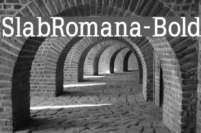 SlabRomana-Bold Schriftart examples