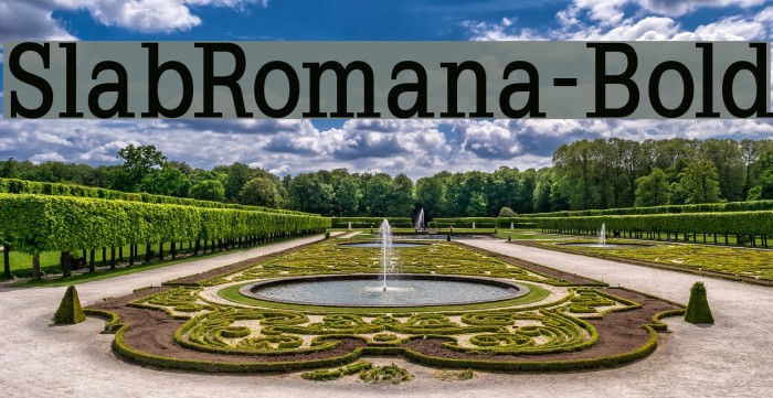 SlabRomana-Bold Font examples