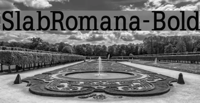 SlabRomana-Bold Schriftart examples