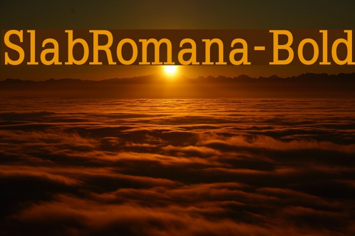 SlabRomana-Bold Font examples
