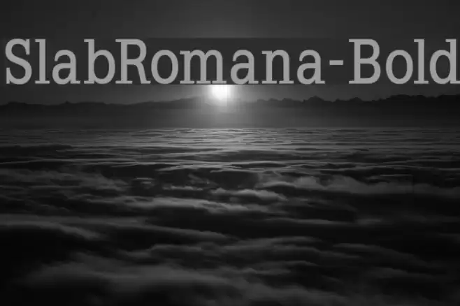 SlabRomana-Bold Schriftart examples