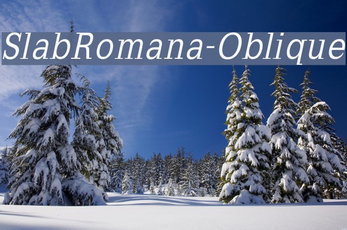 SlabRomana-Oblique Font examples