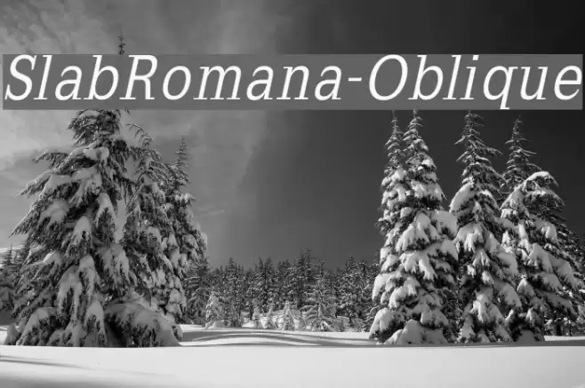 SlabRomana-Oblique Шрифта examples