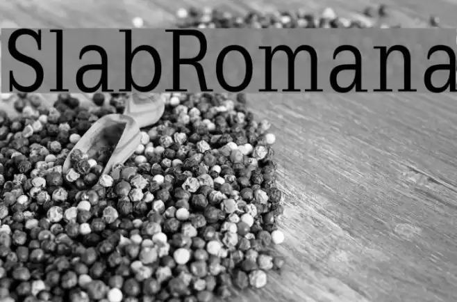 SlabRomana Font examples