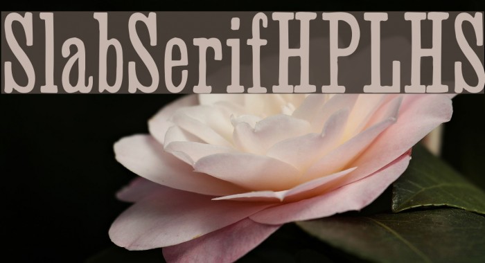 SlabSerifHPLHS Font examples