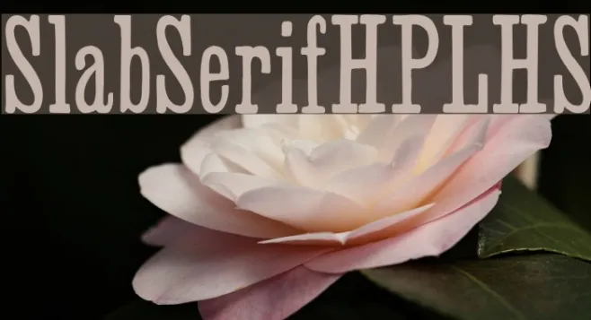 SlabSerifHPLHS Example 1