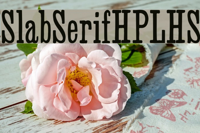 SlabSerifHPLHS Font examples