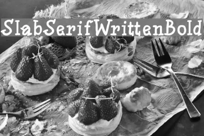 SlabSerifWrittenBold फ़ॉन्ट examples