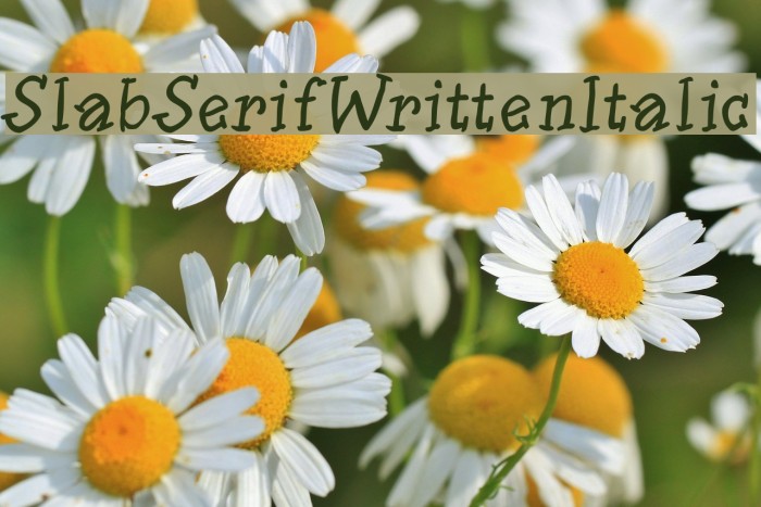 SlabSerifWrittenItalic Font examples