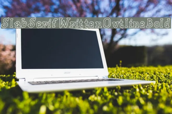 SlabSerifWrittenOutlineBold Example 1