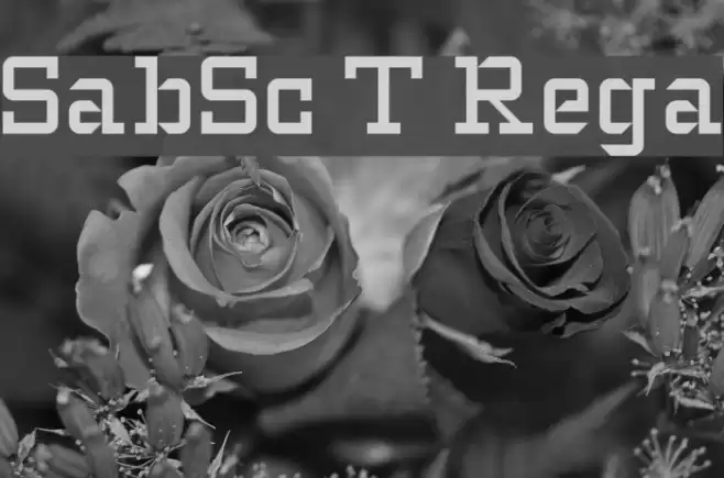 SlabStruct Too Regular Font examples