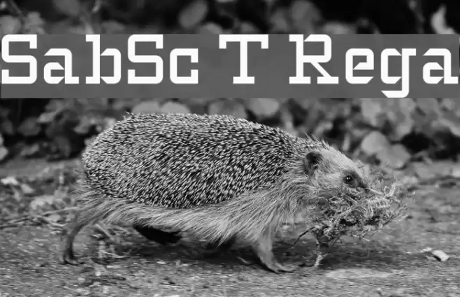 SlabStruct Too Regular Font examples