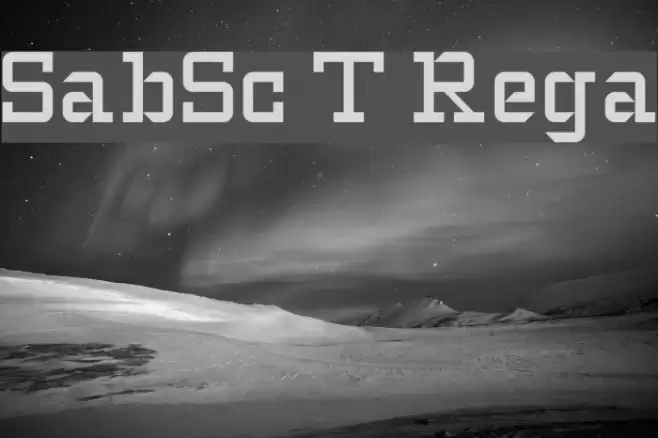 SlabStruct Too Regular Font examples