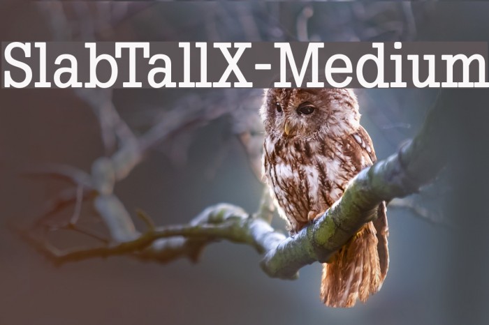 SlabTallX-Medium Font examples