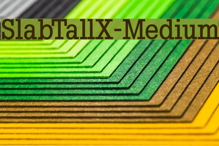 SlabTallX-Medium Font examples