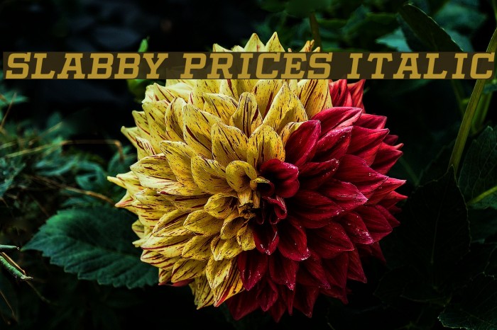 Slabby Prices Italic Font examples