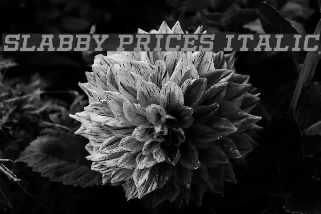 Slabby Prices Italic Font examples