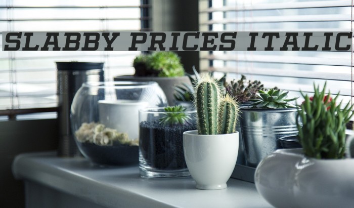 Slabby Prices Italic Font examples