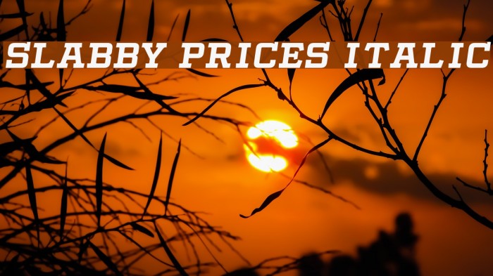 Slabby Prices Italic Font examples