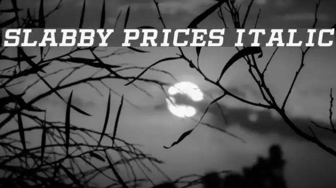Slabby Prices Italic Font examples