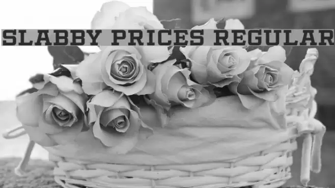 Slabby Prices Regular Font examples