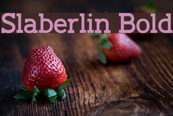 Slaberlin Bold Font examples