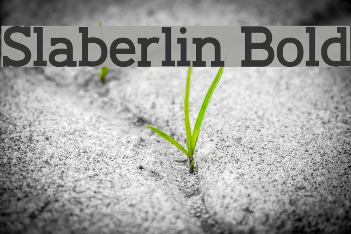 Slaberlin Bold Font examples