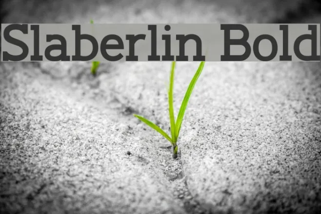 Slaberlin Bold Example 2