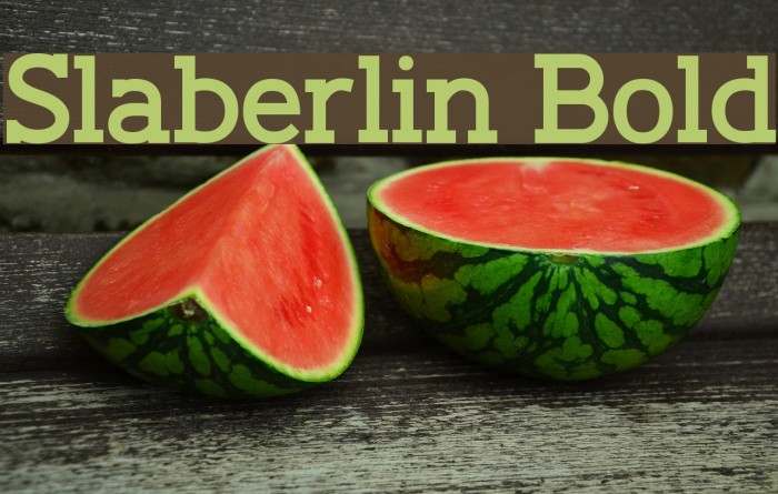Slaberlin Bold Font examples