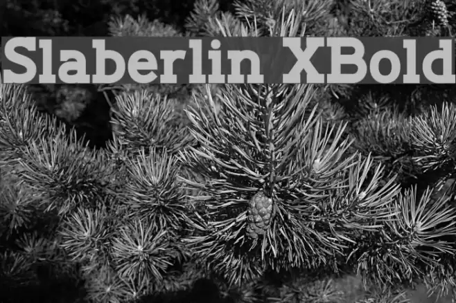 Slaberlin XBold Font examples