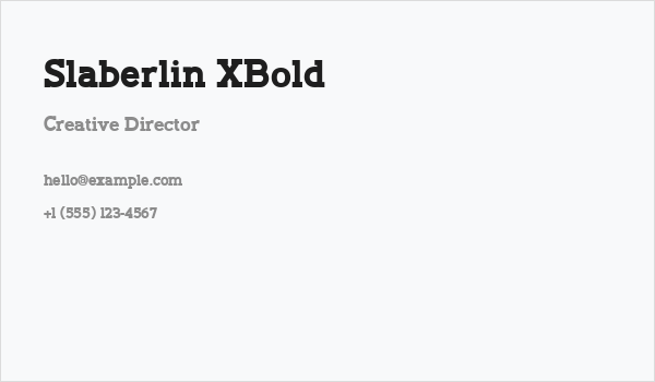 Slaberlin XBold Business Card