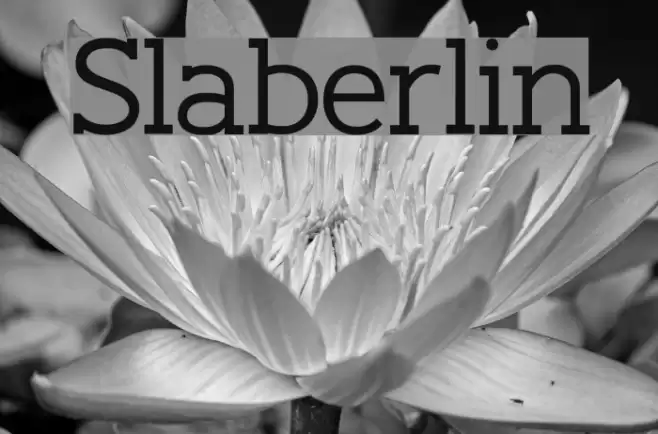 Slaberlin Font examples