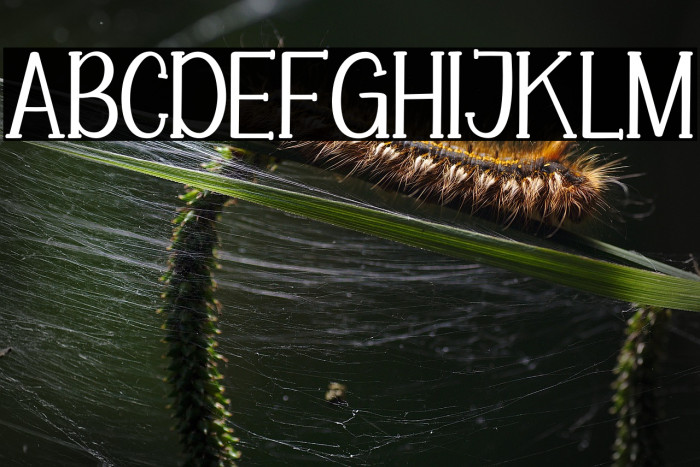 Slabie Peppe Kaem Example 1