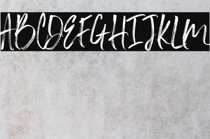 Slabor Brush Font examples