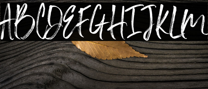 SlaborBrush Font examples