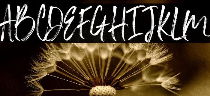 SlaborBrush Font examples
