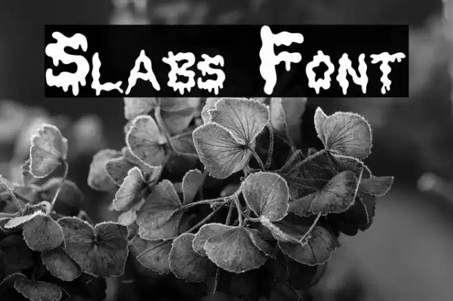 Slabs Font examples
