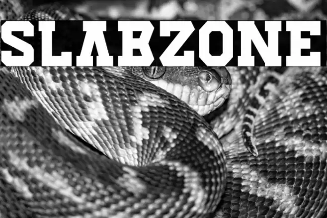 Slabzone Font examples