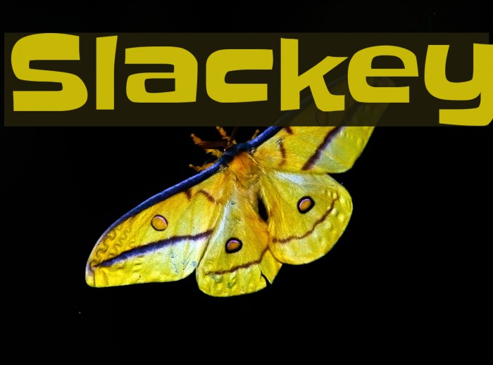 Slackey Font examples