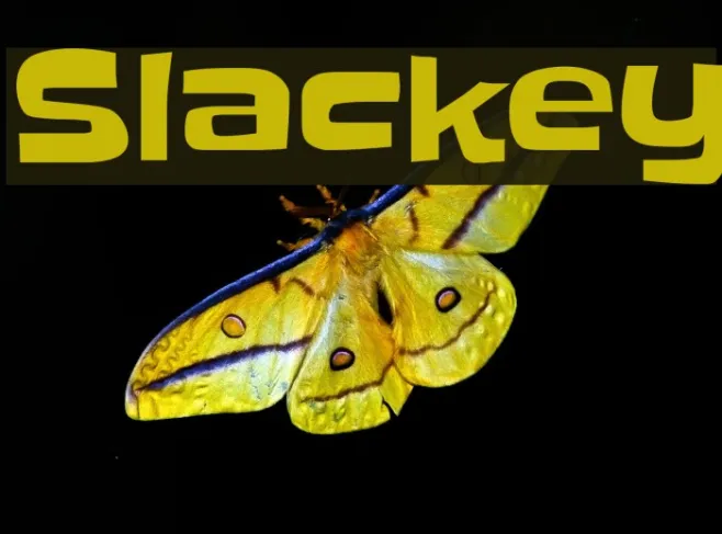 Slackey Example 1