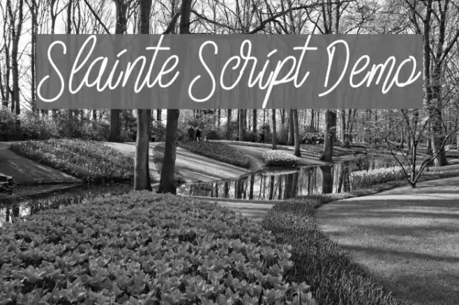 Slainte Script Demo Font examples