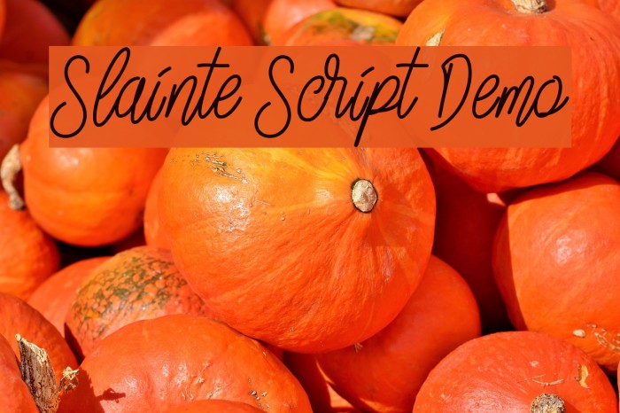 Slainte Script Demo Font examples