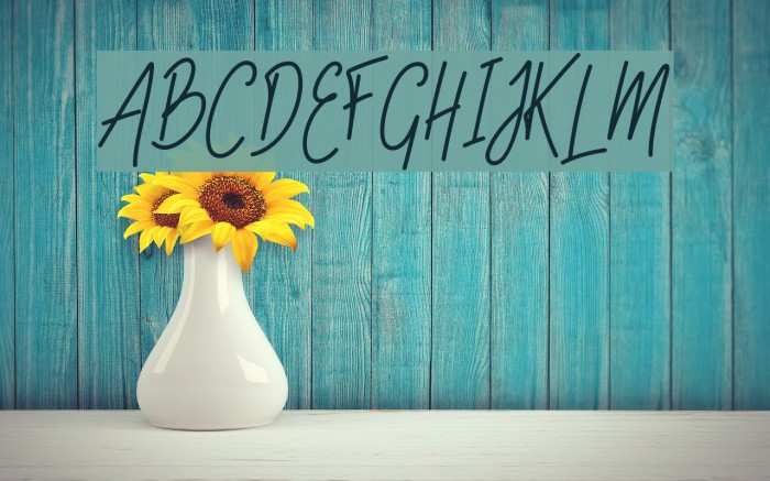 SlainteScriptDemo Example 1