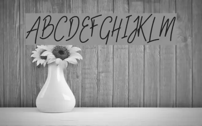 SlainteScriptDemo Font examples